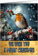 Robin Merry Christmas card