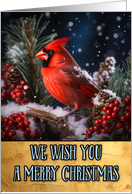 Red Cardinal Bird Merry Christmas card