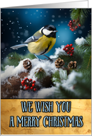 Great Tit Bird Merry Christmas card