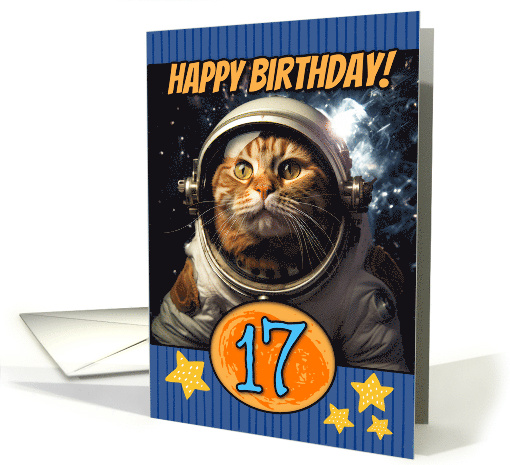 17 Years Old Happy Birthday Space Cat card (1803680)