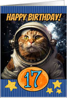 17 Years Old Happy Birthday Space Cat card