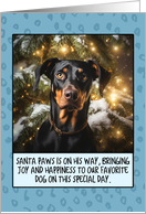 Dobermann Christmas