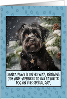 Affenpinscher Christmas card