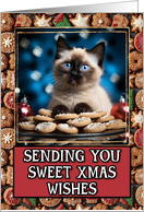 Siamese Kitten Sweet Christmas Wishes card