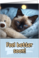 Get Well Feel Better Siamese Cat with Cuddly Toy card