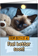 From Couple Get Well Feel Better Siamese Cat with Cuddly Toy card