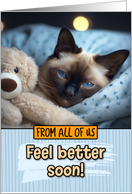 From Group Get Well Feel Better Siamese Cat with Cuddly Toy card