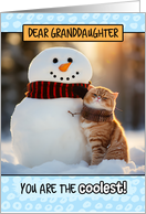 Granddaughter Thinking of You Ginger Cat and Snowman card