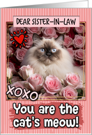 Sister in Law Valentine’s Day Himalayan Cat and Roses card
