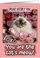 Secret Pal Valentine’s Day Himalayan Cat and Roses card