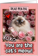 Pen Pal Valentine’s Day Himalayan Cat and Roses card