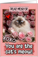 Mentor Valentine’s Day Himalayan Cat and Roses card