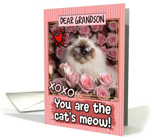 Grandson Valentine's Day Himalayan Cat and Roses card (1808544)