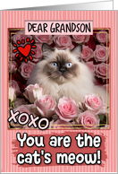 Grandson Valentine’s Day Himalayan Cat and Roses card