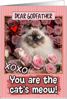 Godfather Valentine’s Day Himalayan Cat and Roses card