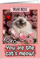 Boss Valentine’s Day Himalayan Cat and Roses card
