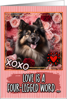 Swedish Lapphund and...