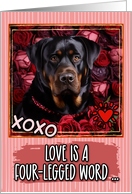 Rottweiler and Roses...