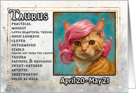 Taurus Birthday Zodiak Cat with Pink Wig card