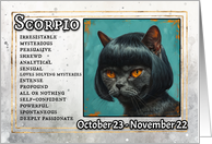 Scorpio Birthday Zodiak Cat with Black Wig card