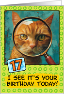 17 Years Old Happy Birthday Ginger Cat with Magnifying Glass card