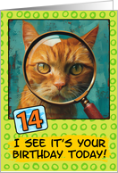 14 Years Old Happy Birthday Ginger Cat with Magnifying Glass card