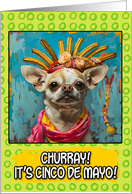 Cinco de Mayo Chihuahua with Churro Crown card