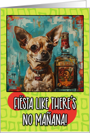 Cinco de Mayo Chihuahua with Tequila Bottle card