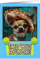 Cinco de Mayo Chihuahua with Taco Hat card