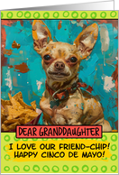 Granddaughter Happy Cinco de Mayo Chihuahua with Nachos card