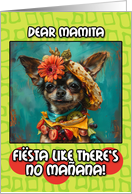 Mamita Happy Cinco de Mayo Chihuahua with Taco Hat card