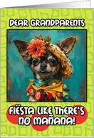 Grandparents Happy Cinco de Mayo Chihuahua with Taco Hat card