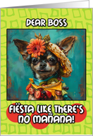 Boss Happy Cinco de Mayo Chihuahua with Taco Hat card
