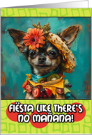 Happy Cinco de Mayo Chihuahua with Taco Hat card