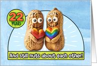 22 years Wedding Anniversary Congrats LGBTQIA Peanuts card
