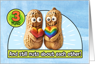 3 Years Wedding Anniversary Congrats LGBTQIA Peanuts card