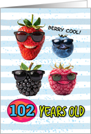 102 Years Old Happy Birthday Cool Berries card