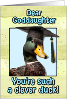 Goddaughter Congratulations Graduation Clever Duck card