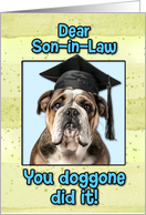 Son in Law Congratulations Graduation English Bulldog card