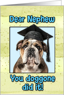 Nephew Congratulations Graduation English Bulldog card