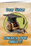 Sister Congratulations Graduation Snail card