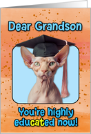 Grandson Congratulations Graduation Sphynx Cat card