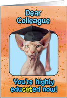 Colleague Congratulations Graduation Sphynx Cat card