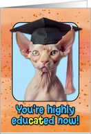 Congratulations Graduation Sphynx Cat card