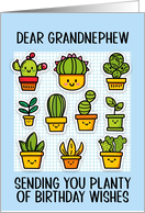 Grandnephew Happy Birthday Kawaii Cartoon Cactus Plants card