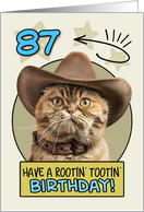 87 Years Old Happy Birthday Cat with Cowboy Hat card