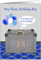 Birthday to Birthday Boy, adult humor, raccoon in a playpen, balloons card