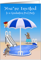 Invitations to Graduation Pool Party with Raccoons by the Pool Side card