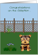 Congratulations On Adoption on a Yorkshire Terrier with a cute Dog card