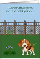 Congratulations On Adoption of Beagle Rescue from Shelter card